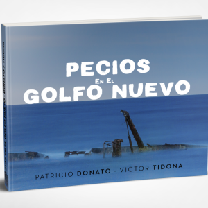 Pecios en el Golfo Nuevo (Edición impresa)